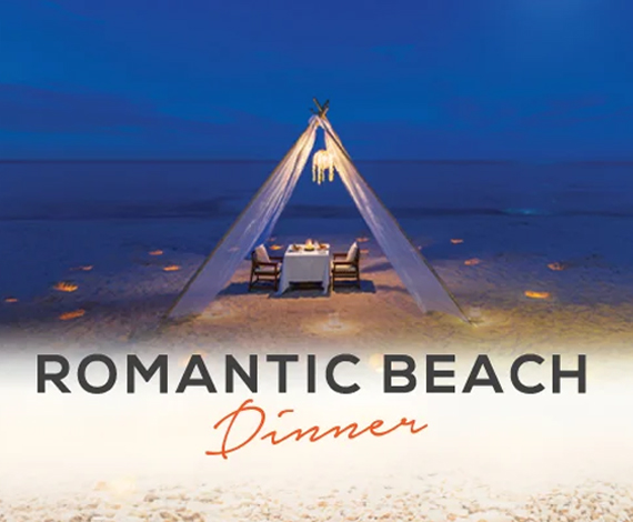 Romantic Beach Dinner